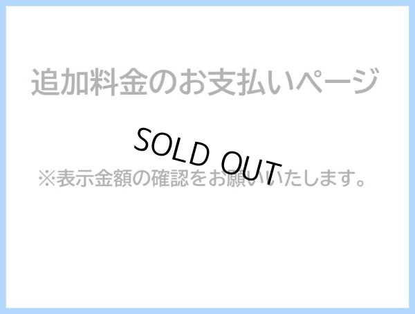 画像1: 追加料金のお支払いページ