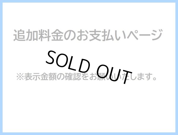 画像1: 追加料金のお支払いページ (1)